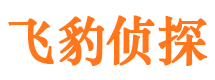 来安出轨调查